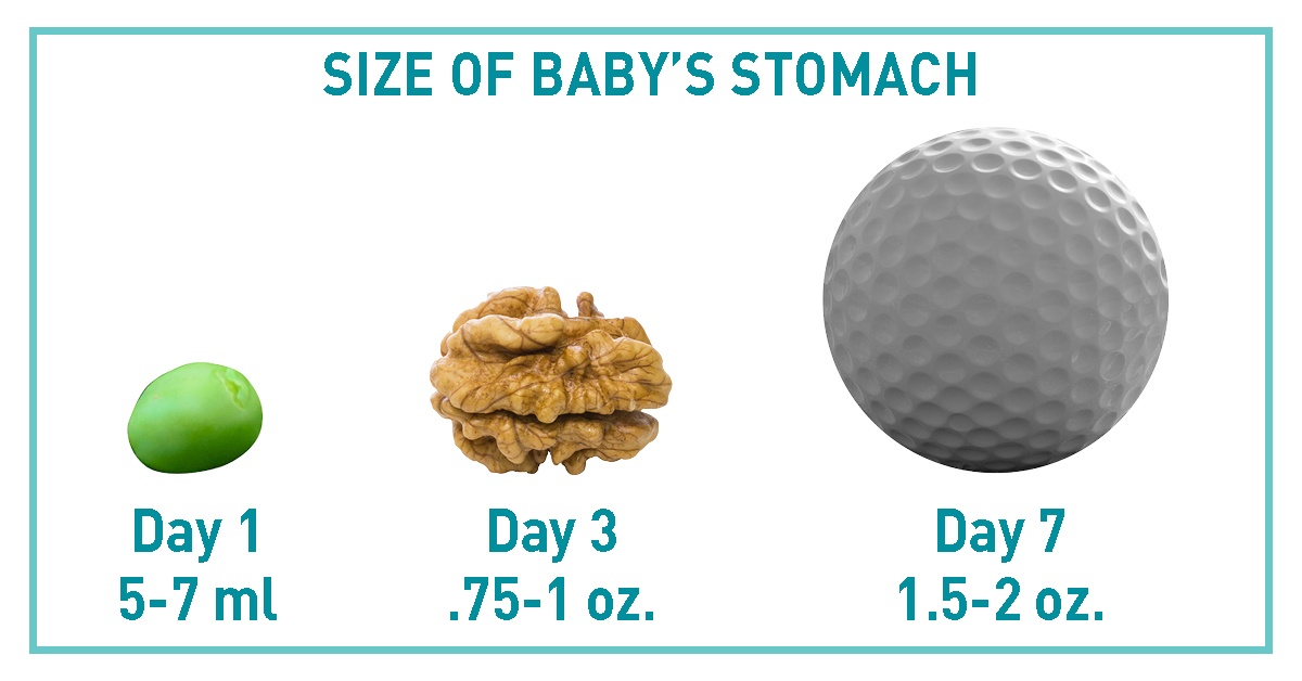 Nutritional Requirements of the Breastfed Newborn Chesapeake Regional